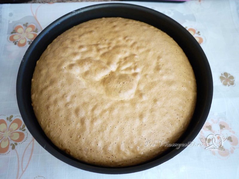 Бисквитный торт Муслин - готовый бисквит