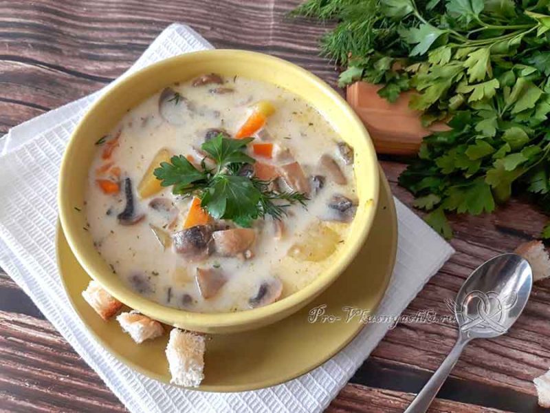 Сырный суп с шампиньонами - подача